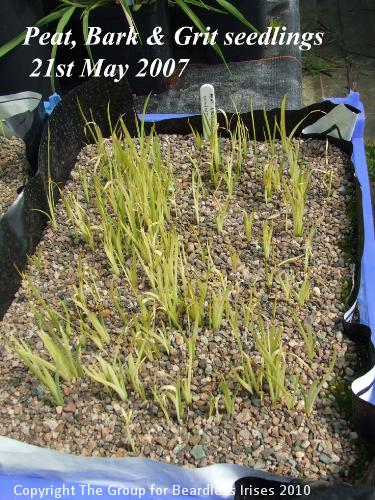 10 Peat, Bark & Grit 21.5.2007
